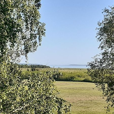 Tuule Villa Kuressaare Kültér fotó
