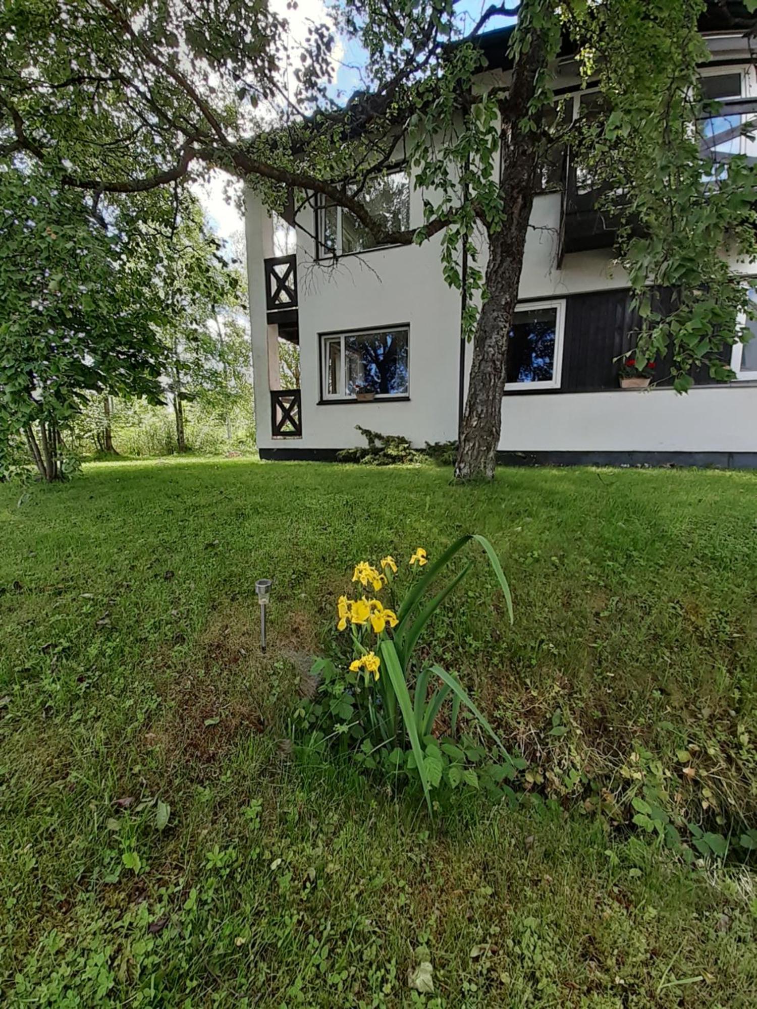 Tuule Villa Kuressaare Kültér fotó